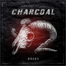 Cliquez pour lire la chronique