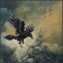 Cliquez pour lire la chronique