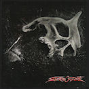 Cliquez pour lire la chronique